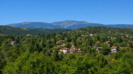 Kokalyane