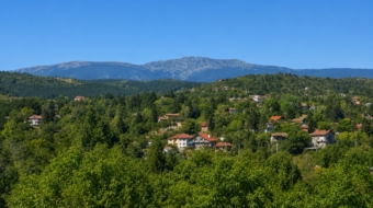 Kokalyane