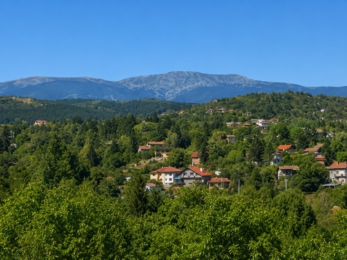 Kokalyane