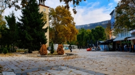Provadia