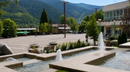 Svoge