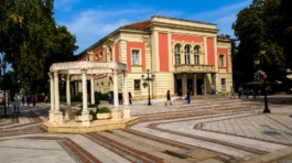 Vidin