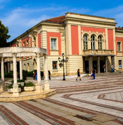 Vidin